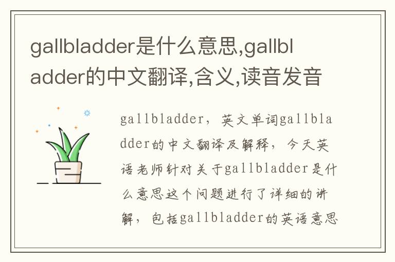 gallbladder是什么意思,gallbladder的中文翻译,含义,读音发音,用法,造句,参考例句