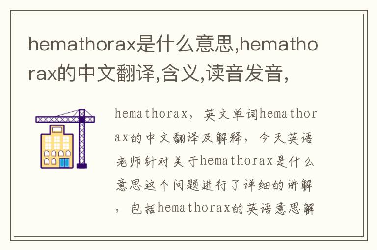 hemathorax是什么意思,hemathorax的中文翻译,含义,读音发音,用法,造句,参考例句