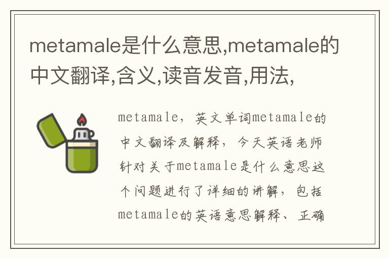 metamale是什么意思,metamale的中文翻译,含义,读音发音,用法,造句,参考例句