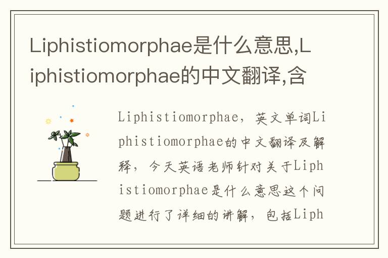 Liphistiomorphae是什么意思,Liphistiomorphae的中文翻译,含义,读音发音,用法,造句,参考例句