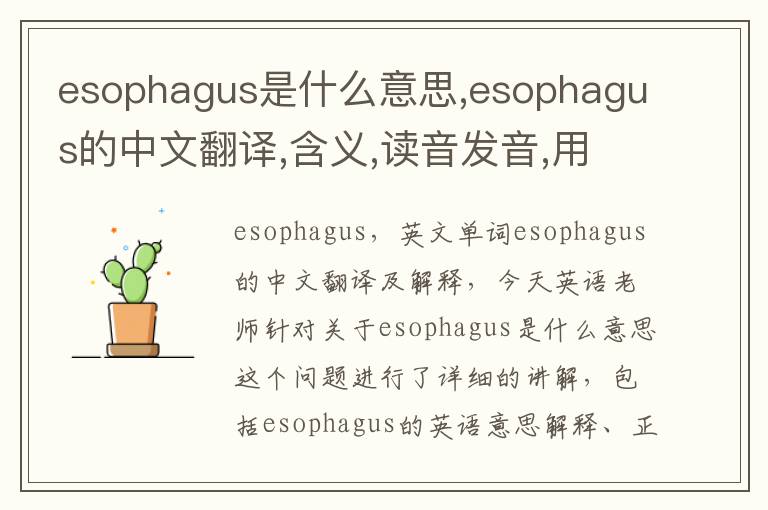 esophagus是什么意思,esophagus的中文翻译,含义,读音发音,用法,造句,参考例句