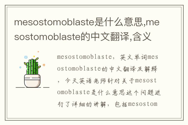 mesostomoblaste是什么意思,mesostomoblaste的中文翻译,含义,读音发音,用法,造句,参考例句