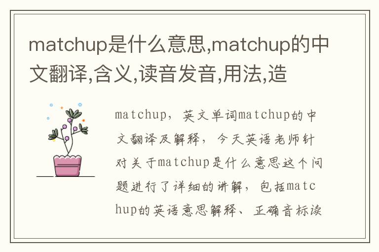 matchup是什么意思,matchup的中文翻译,含义,读音发音,用法,造句,参考例句