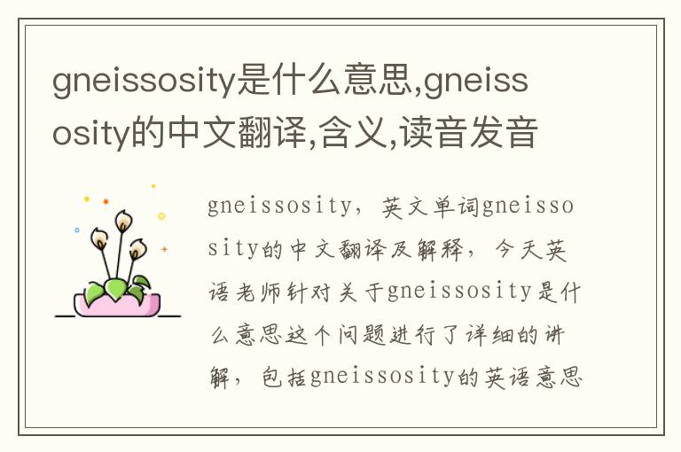 gneissosity是什么意思,gneissosity的中文翻译,含义,读音发音,用法,造句,参考例句