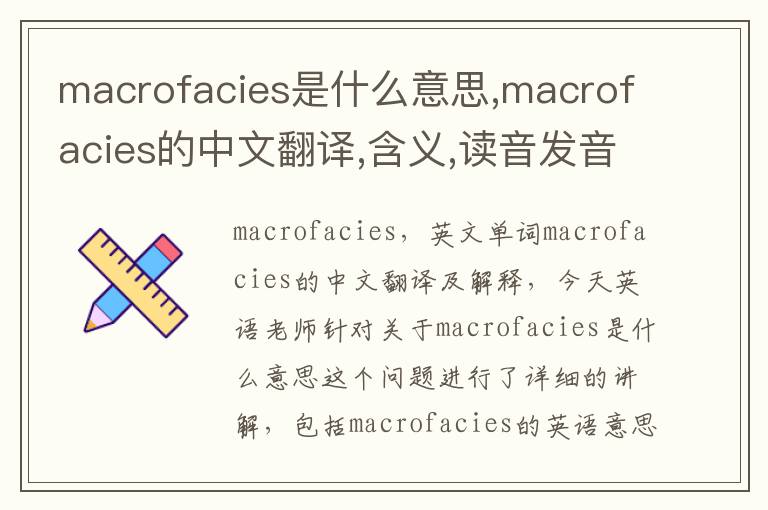 macrofacies是什么意思,macrofacies的中文翻译,含义,读音发音,用法,造句,参考例句