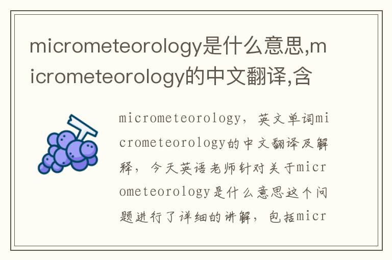 micrometeorology是什么意思,micrometeorology的中文翻译,含义,读音发音,用法,造句,参考例句