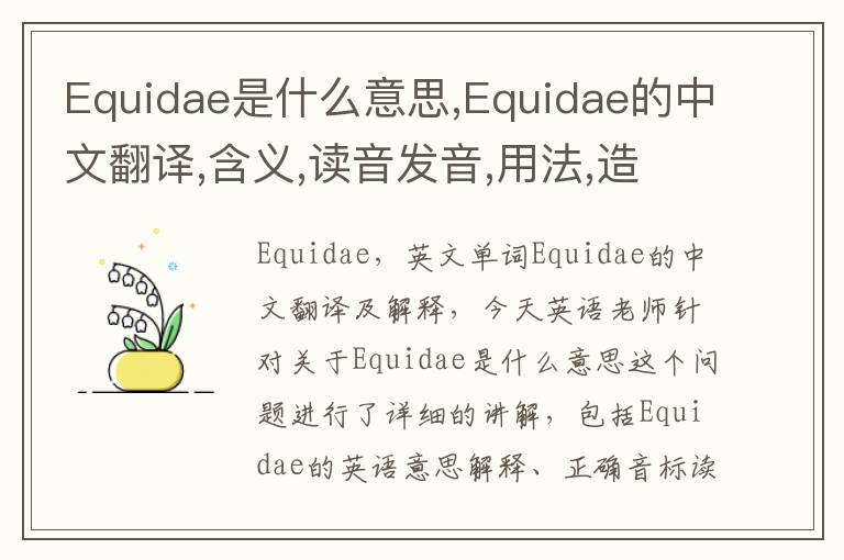 Equidae是什么意思,Equidae的中文翻译,含义,读音发音,用法,造句,参考例句