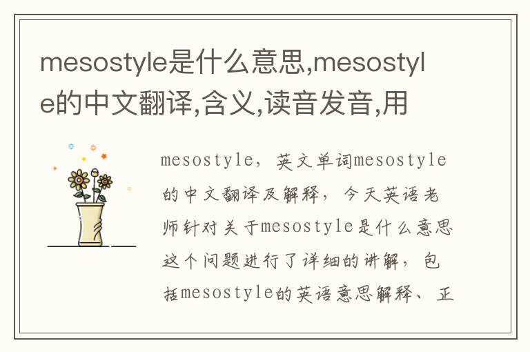 mesostyle是什么意思,mesostyle的中文翻译,含义,读音发音,用法,造句,参考例句