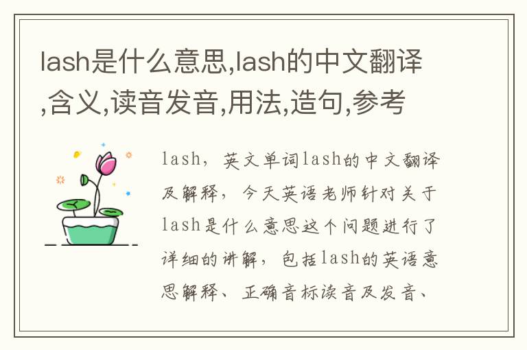 lash是什么意思,lash的中文翻译,含义,读音发音,用法,造句,参考例句