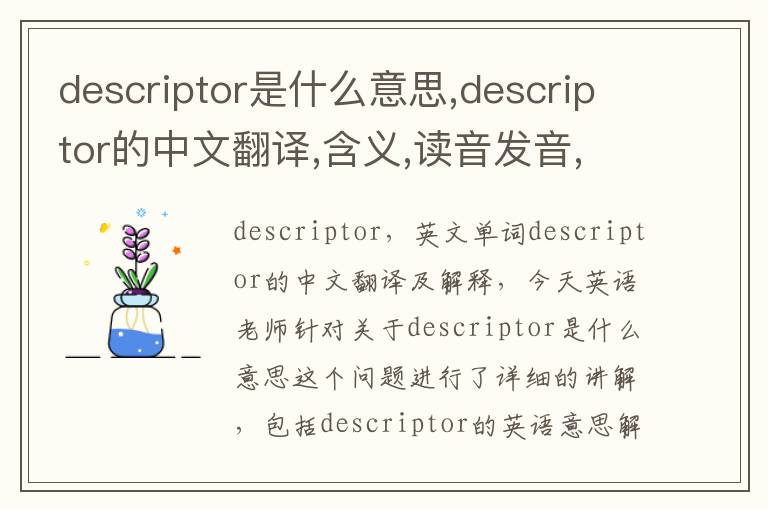 descriptor是什么意思,descriptor的中文翻译,含义,读音发音,用法,造句,参考例句