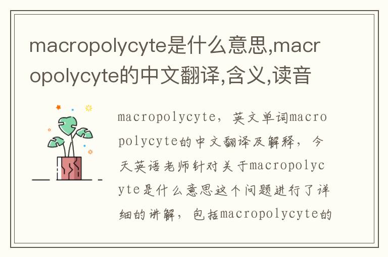 macropolycyte是什么意思,macropolycyte的中文翻译,含义,读音发音,用法,造句,参考例句