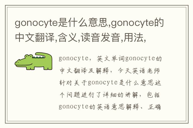 gonocyte是什么意思,gonocyte的中文翻译,含义,读音发音,用法,造句,参考例句