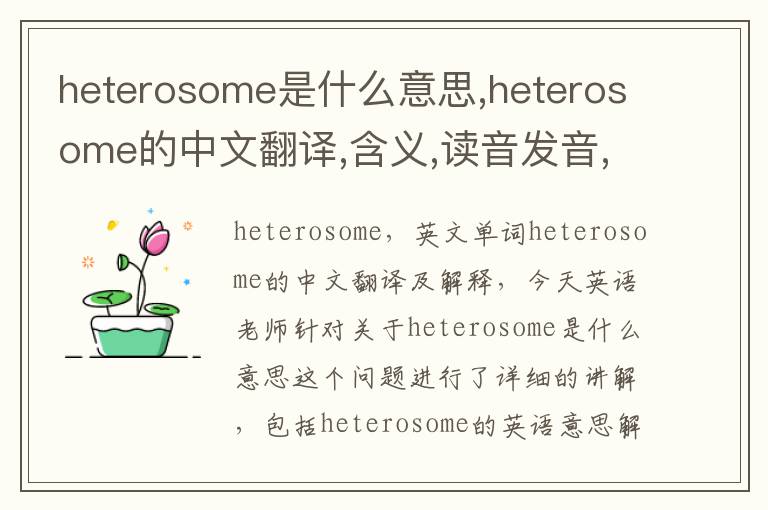 heterosome是什么意思,heterosome的中文翻译,含义,读音发音,用法,造句,参考例句