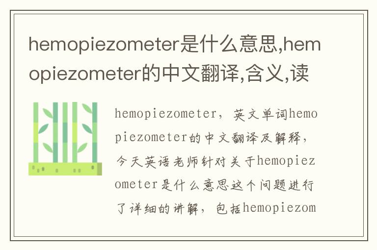 hemopiezometer是什么意思,hemopiezometer的中文翻译,含义,读音发音,用法,造句,参考例句