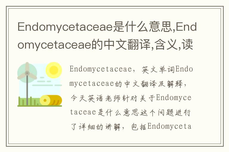 Endomycetaceae是什么意思,Endomycetaceae的中文翻译,含义,读音发音,用法,造句,参考例句