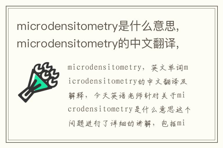 microdensitometry是什么意思,microdensitometry的中文翻译,含义,读音发音,用法,造句,参考例句