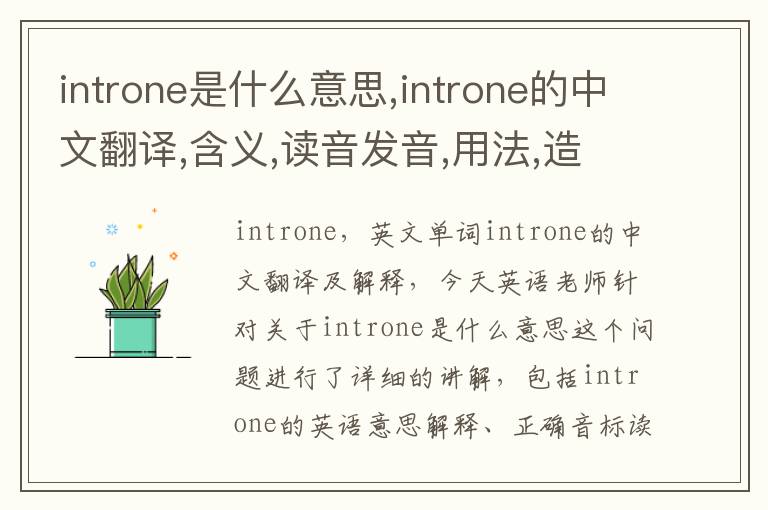 introne是什么意思,introne的中文翻译,含义,读音发音,用法,造句,参考例句