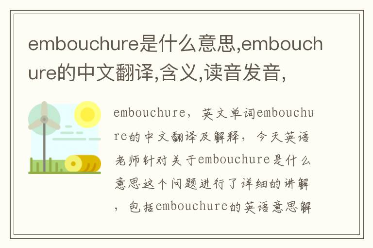 embouchure是什么意思,embouchure的中文翻译,含义,读音发音,用法,造句,参考例句