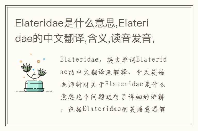 Elateridae是什么意思,Elateridae的中文翻译,含义,读音发音,用法,造句,参考例句