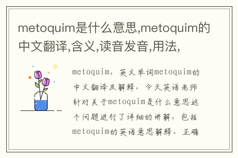 metoquim是什么意思,metoquim的中文翻译,含义,读音发音,用法,造句,参考例句