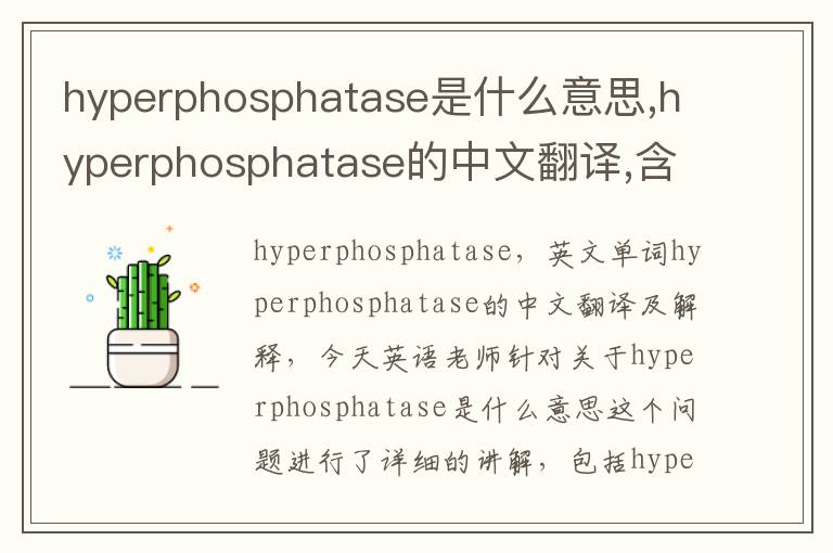 hyperphosphatase是什么意思,hyperphosphatase的中文翻译,含义,读音发音,用法,造句,参考例句