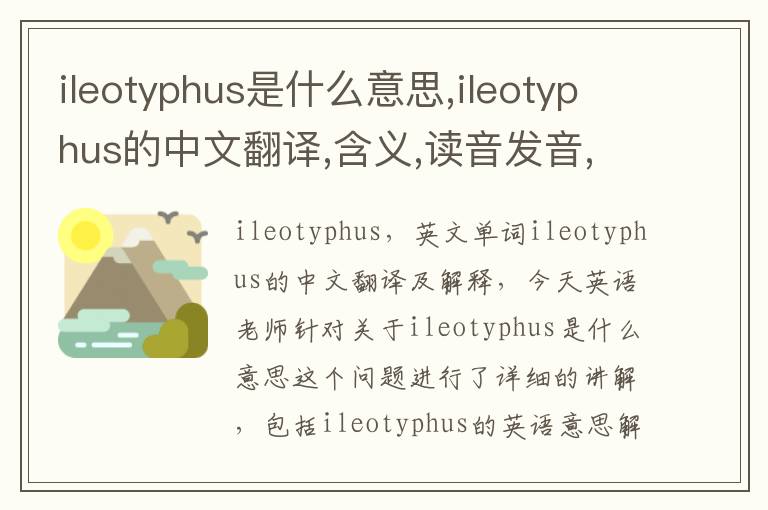 ileotyphus是什么意思,ileotyphus的中文翻译,含义,读音发音,用法,造句,参考例句