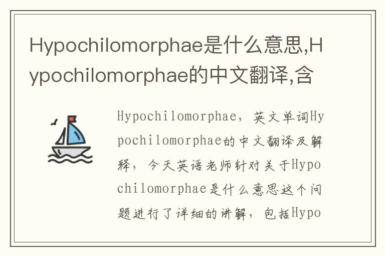 Hypochilomorphae是什么意思,Hypochilomorphae的中文翻译,含义,读音发音,用法,造句,参考例句