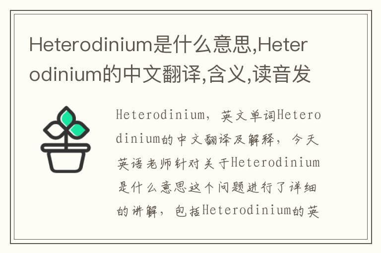 Heterodinium是什么意思,Heterodinium的中文翻译,含义,读音发音,用法,造句,参考例句