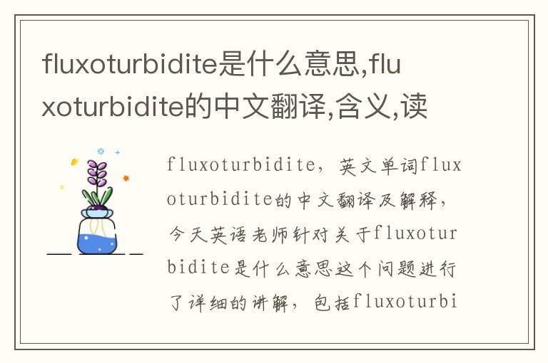 fluxoturbidite是什么意思,fluxoturbidite的中文翻译,含义,读音发音,用法,造句,参考例句