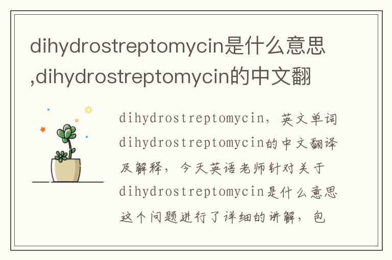 dihydrostreptomycin是什么意思,dihydrostreptomycin的中文翻译,含义,读音发音,用法,造句,参考例句