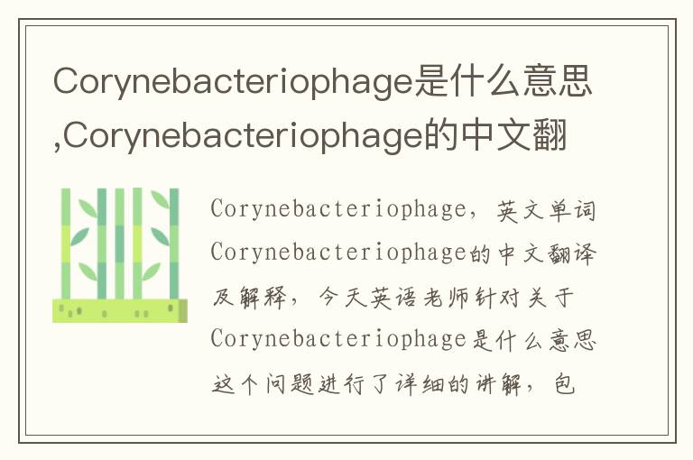 Corynebacteriophage是什么意思,Corynebacteriophage的中文翻译,含义,读音发音,用法,造句,参考例句