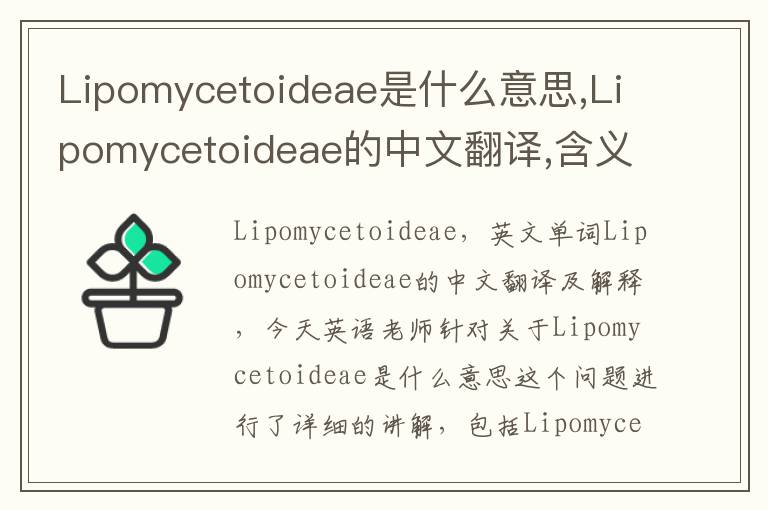 Lipomycetoideae是什么意思,Lipomycetoideae的中文翻译,含义,读音发音,用法,造句,参考例句