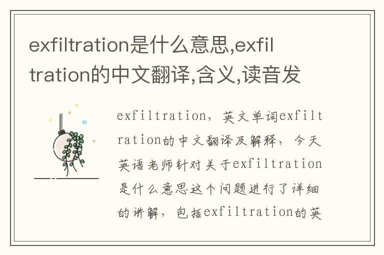 exfiltration是什么意思,exfiltration的中文翻译,含义,读音发音,用法,造句,参考例句