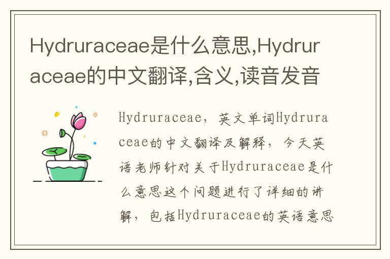 Hydruraceae是什么意思,Hydruraceae的中文翻译,含义,读音发音,用法,造句,参考例句