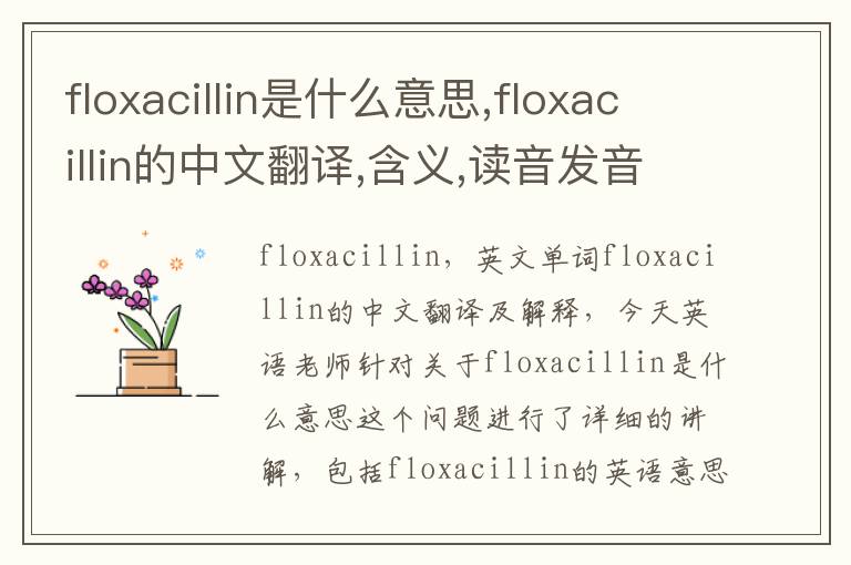 floxacillin是什么意思,floxacillin的中文翻译,含义,读音发音,用法,造句,参考例句