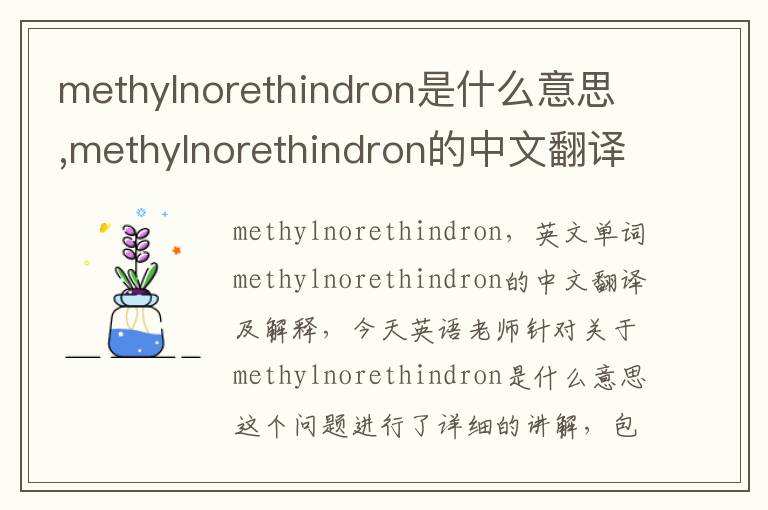 methylnorethindron是什么意思,methylnorethindron的中文翻译,含义,读音发音,用法,造句,参考例句