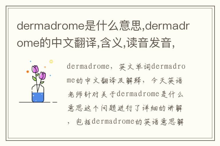 dermadrome是什么意思,dermadrome的中文翻译,含义,读音发音,用法,造句,参考例句