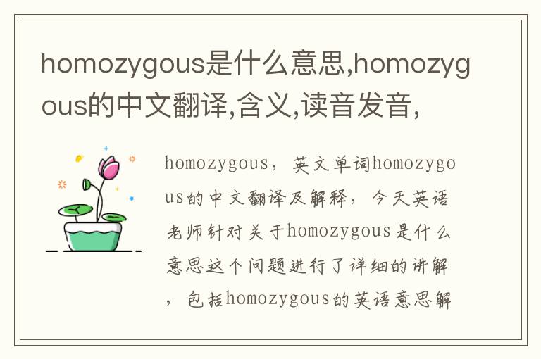 homozygous是什么意思,homozygous的中文翻译,含义,读音发音,用法,造句,参考例句