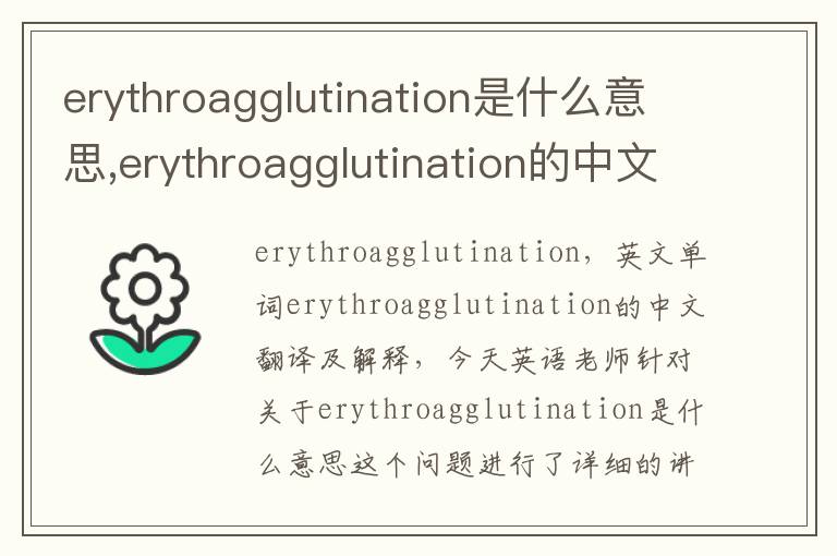 erythroagglutination是什么意思,erythroagglutination的中文翻译,含义,读音发音,用法,造句,参考例句