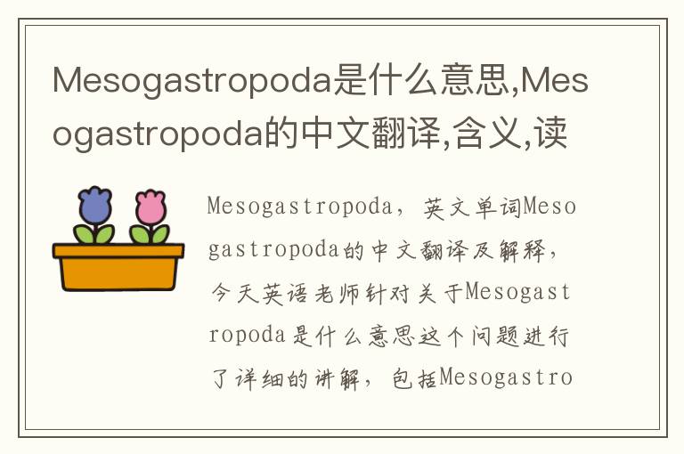 Mesogastropoda是什么意思,Mesogastropoda的中文翻译,含义,读音发音,用法,造句,参考例句