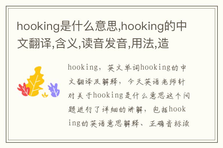 hooking是什么意思,hooking的中文翻译,含义,读音发音,用法,造句,参考例句