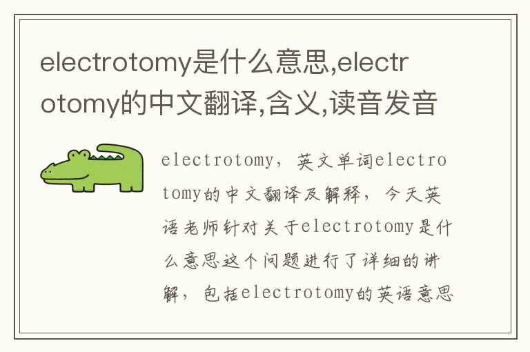 electrotomy是什么意思,electrotomy的中文翻译,含义,读音发音,用法,造句,参考例句