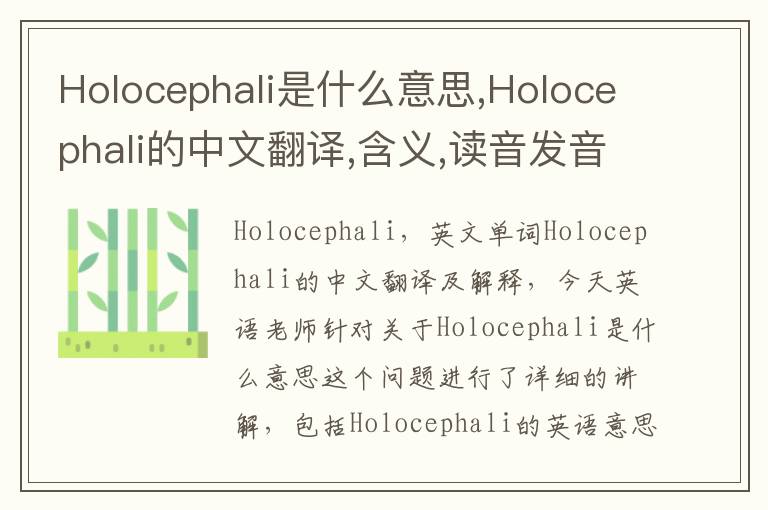 Holocephali是什么意思,Holocephali的中文翻译,含义,读音发音,用法,造句,参考例句