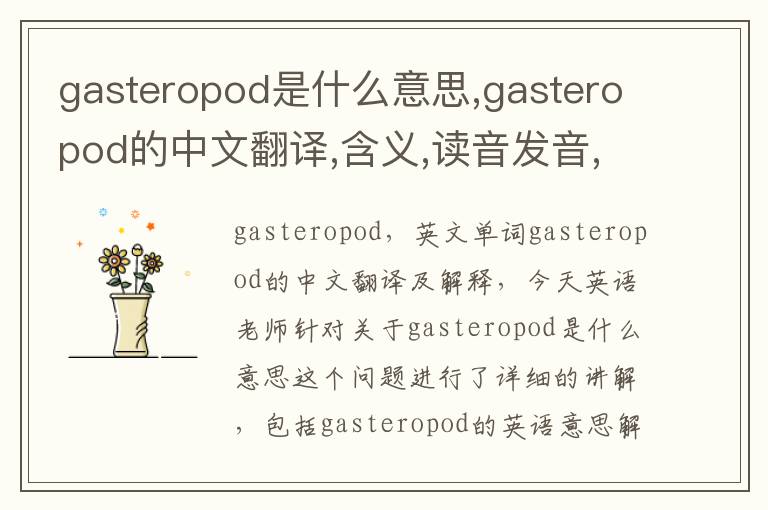 gasteropod是什么意思,gasteropod的中文翻译,含义,读音发音,用法,造句,参考例句