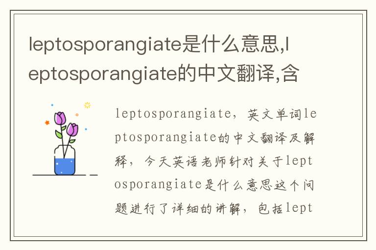 leptosporangiate是什么意思,leptosporangiate的中文翻译,含义,读音发音,用法,造句,参考例句