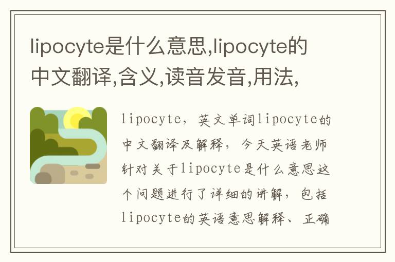 lipocyte是什么意思,lipocyte的中文翻译,含义,读音发音,用法,造句,参考例句