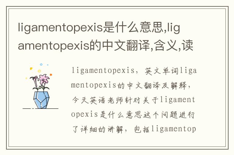 ligamentopexis是什么意思,ligamentopexis的中文翻译,含义,读音发音,用法,造句,参考例句