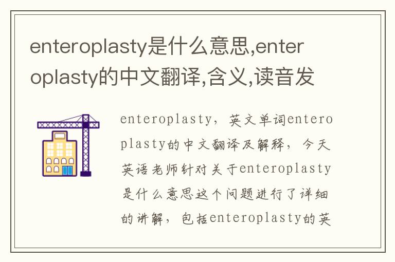 enteroplasty是什么意思,enteroplasty的中文翻译,含义,读音发音,用法,造句,参考例句