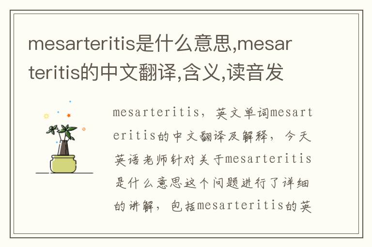 mesarteritis是什么意思,mesarteritis的中文翻译,含义,读音发音,用法,造句,参考例句