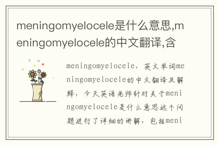 meningomyelocele是什么意思,meningomyelocele的中文翻译,含义,读音发音,用法,造句,参考例句